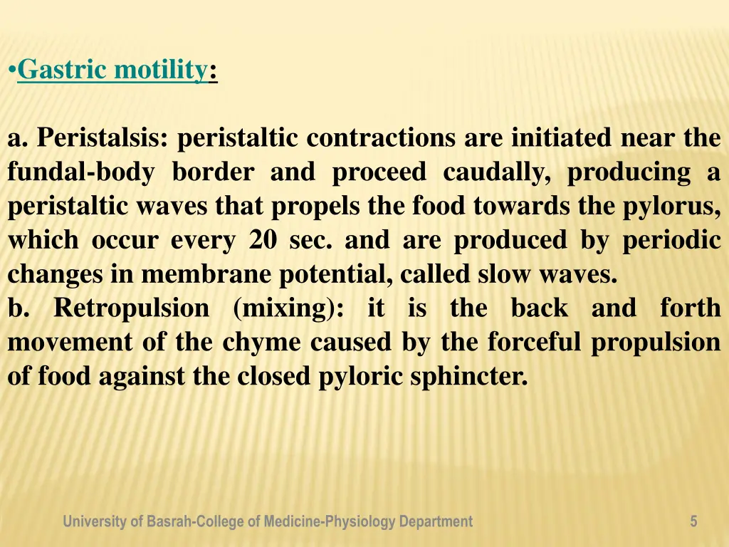 gastric motility