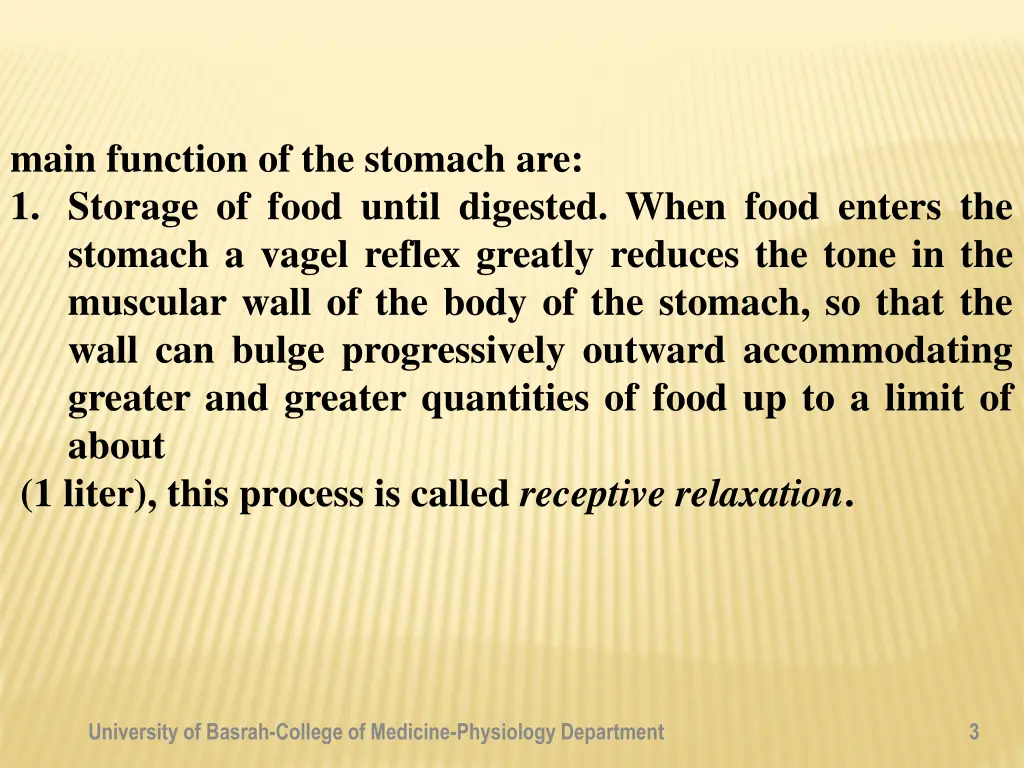 main function of the stomach are 1 storage