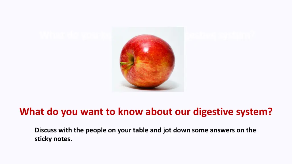 what do you know about our digestive system