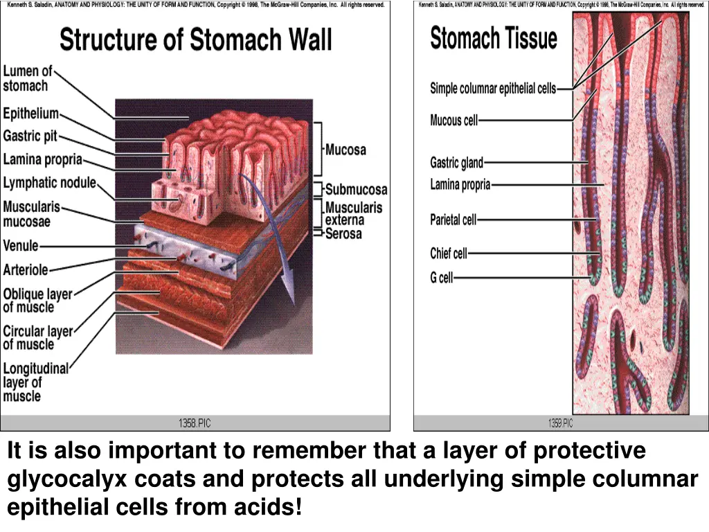 it is also important to remember that a layer