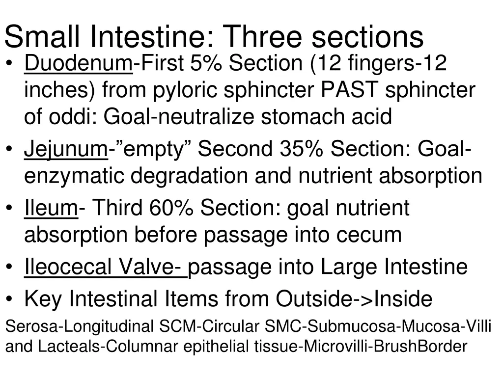 small intestine three sections duodenum first