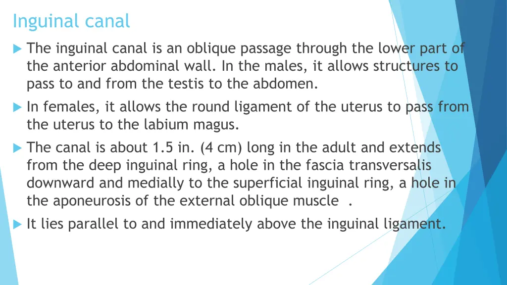 inguinal canal