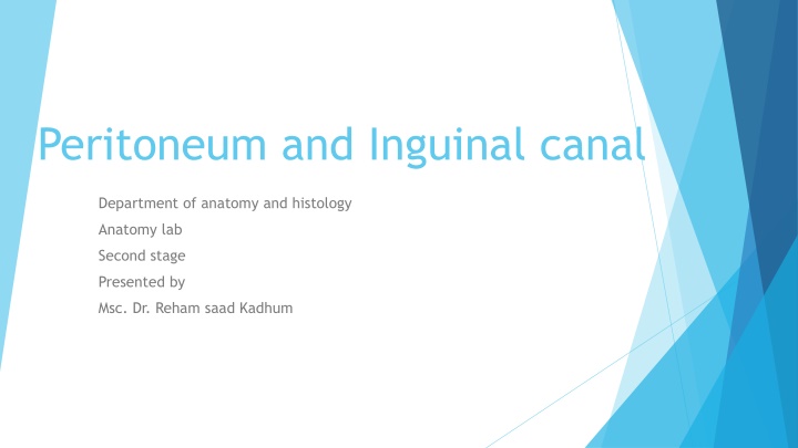 peritoneum and inguinal canal