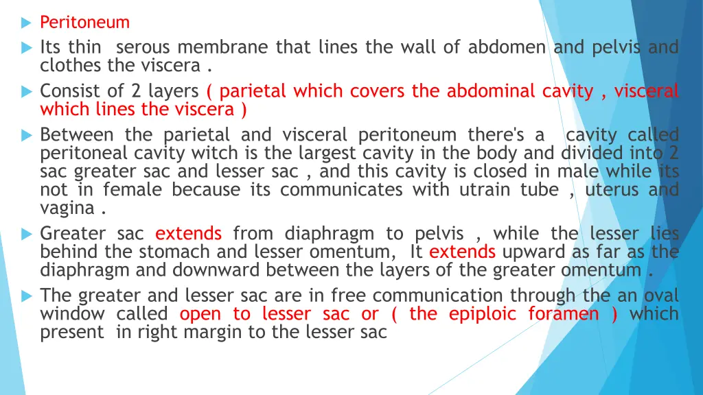 peritoneum its thin serous membrane that lines