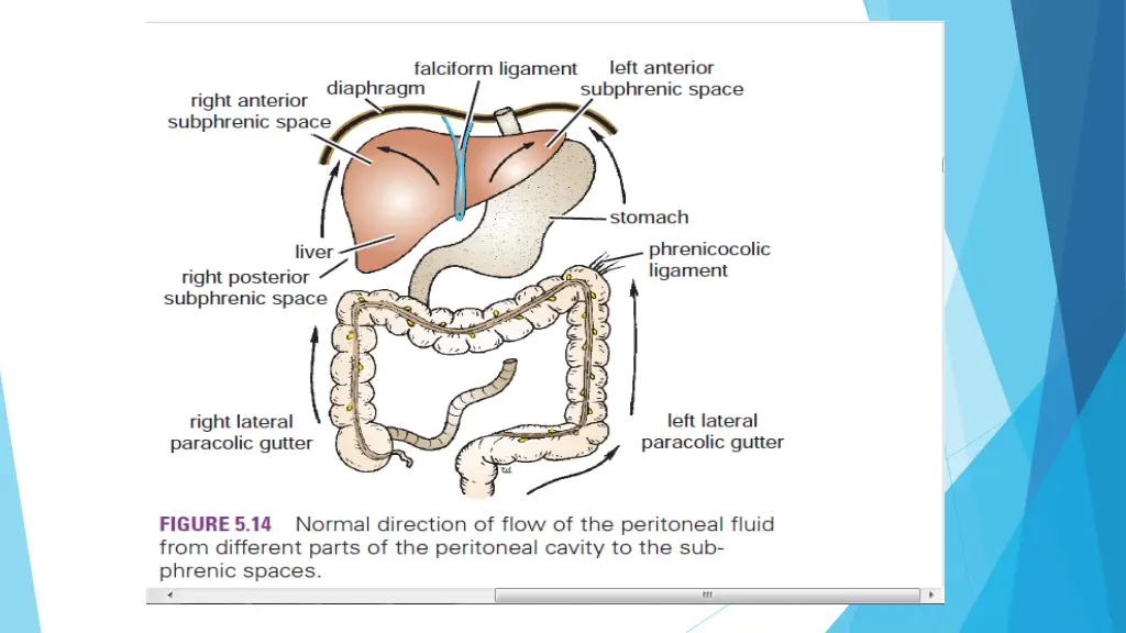 slide14