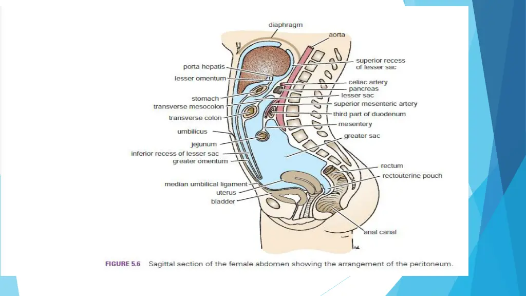 slide3