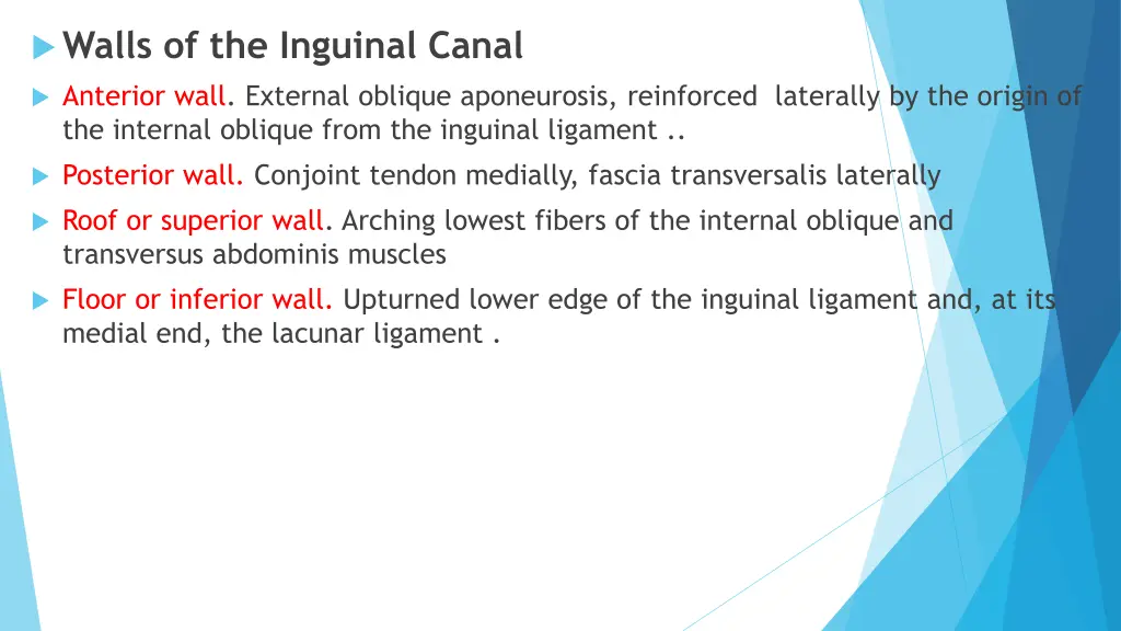 walls of the inguinal canal