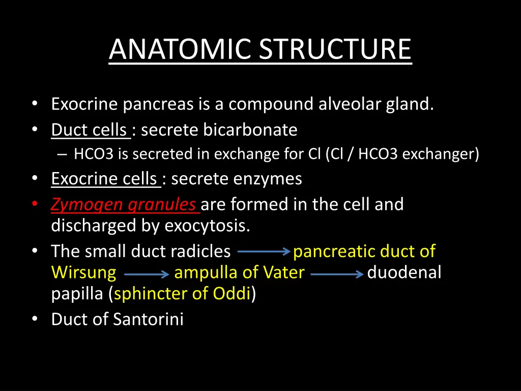 anatomic structure