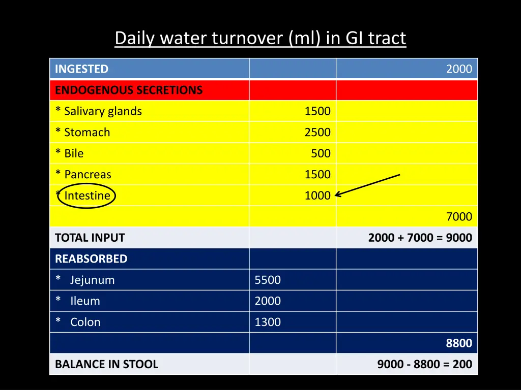 daily water turnover ml in gi tract 1