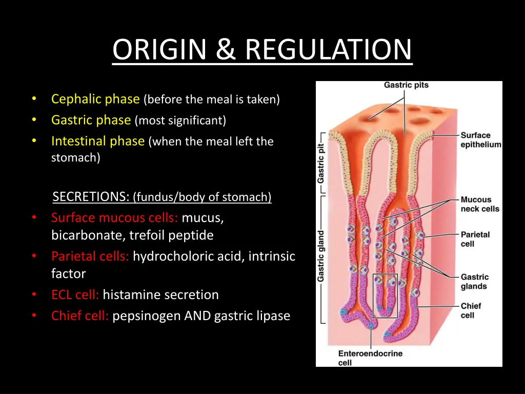 origin regulation