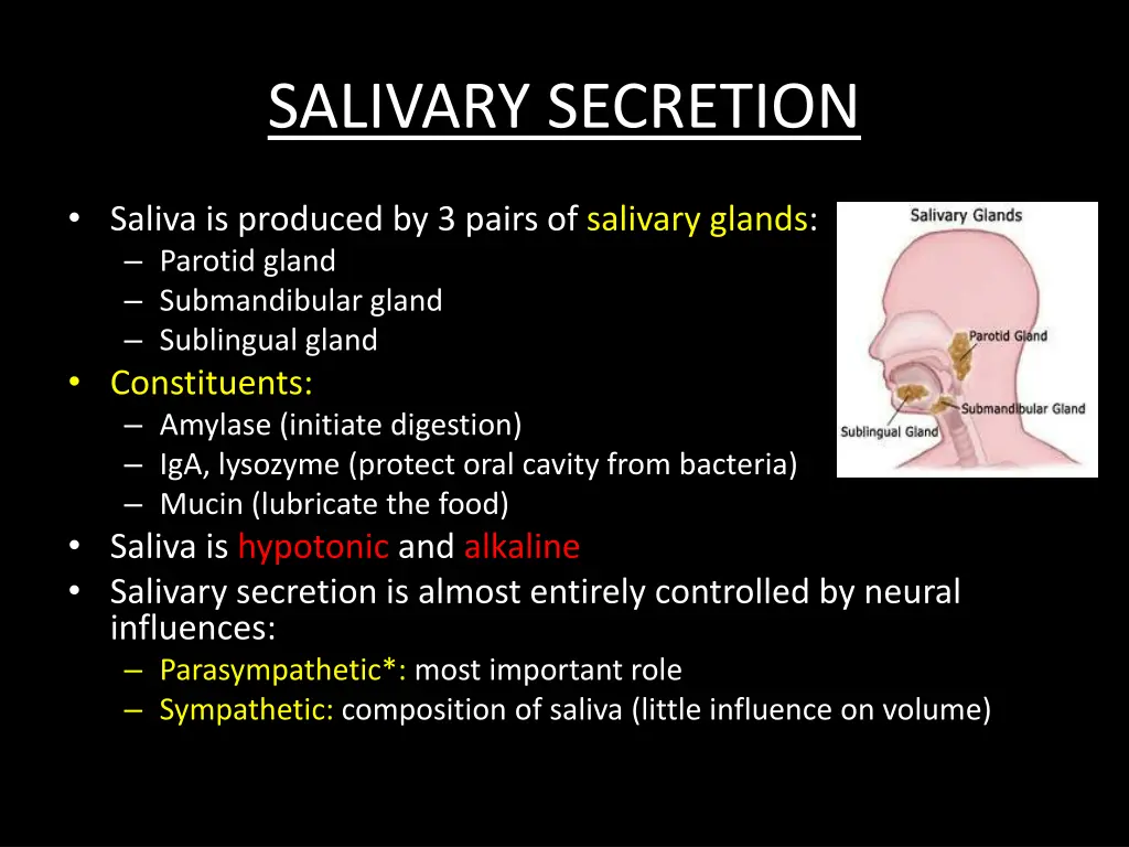 salivary secretion 1