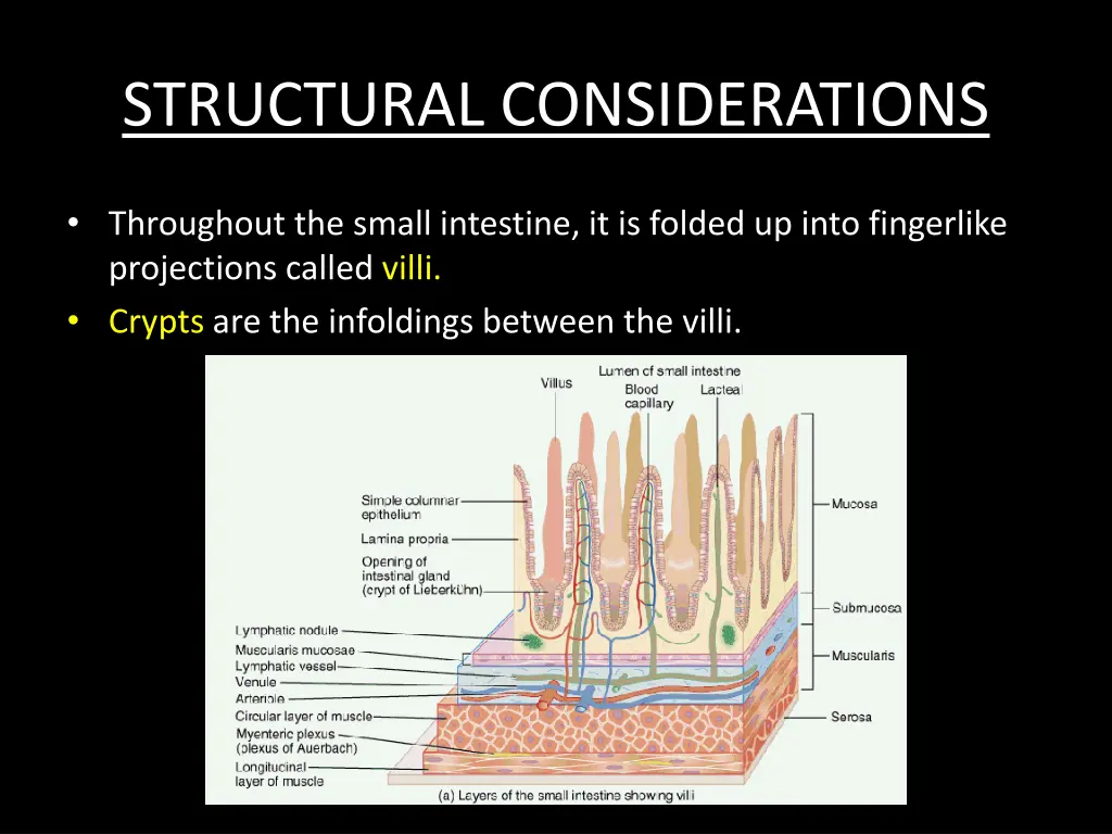 structural considerations 2