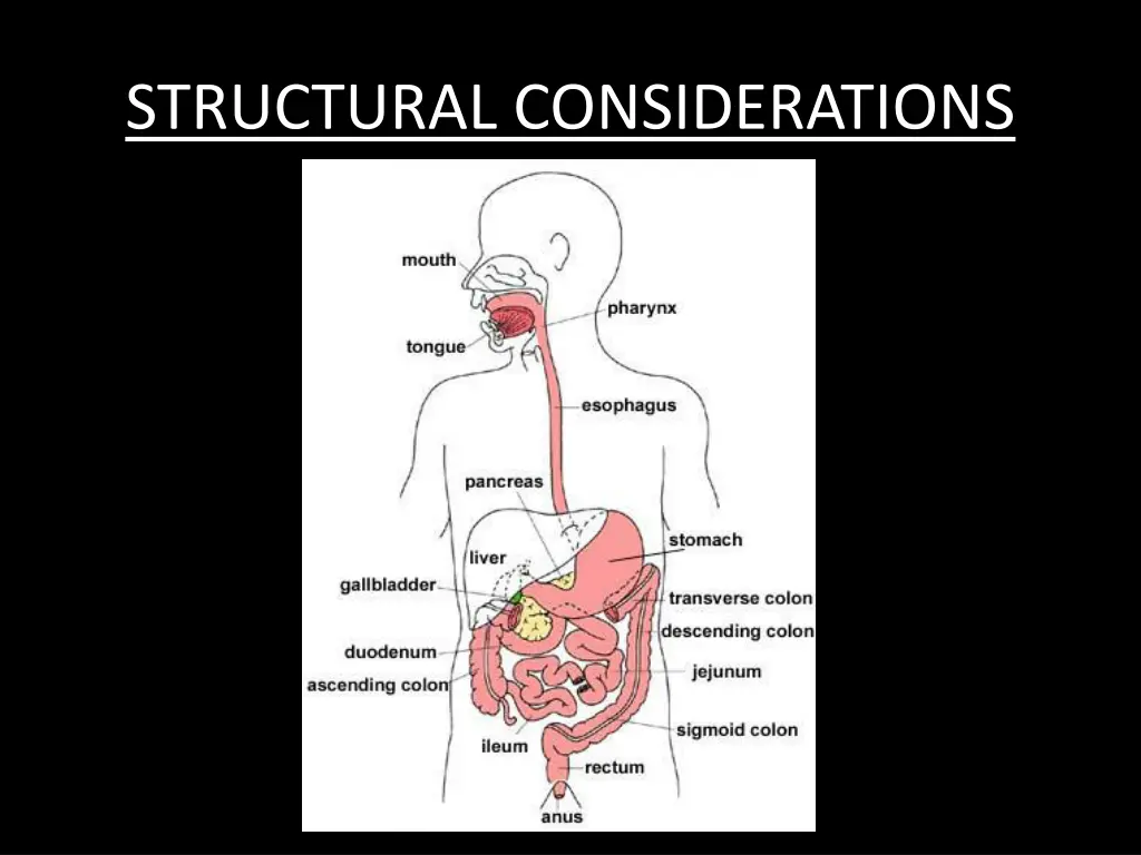 structural considerations