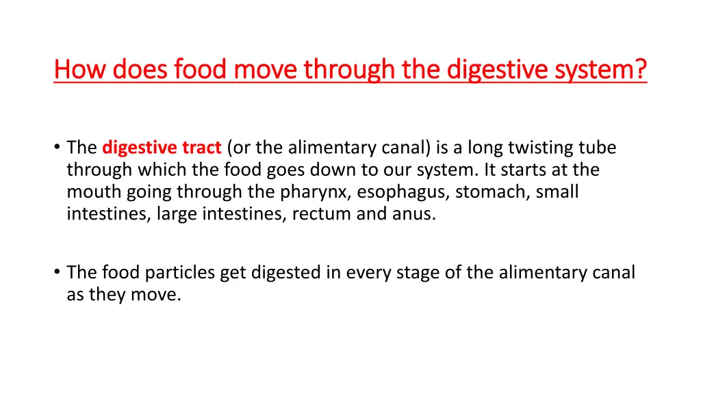 how does food move through the digestive system