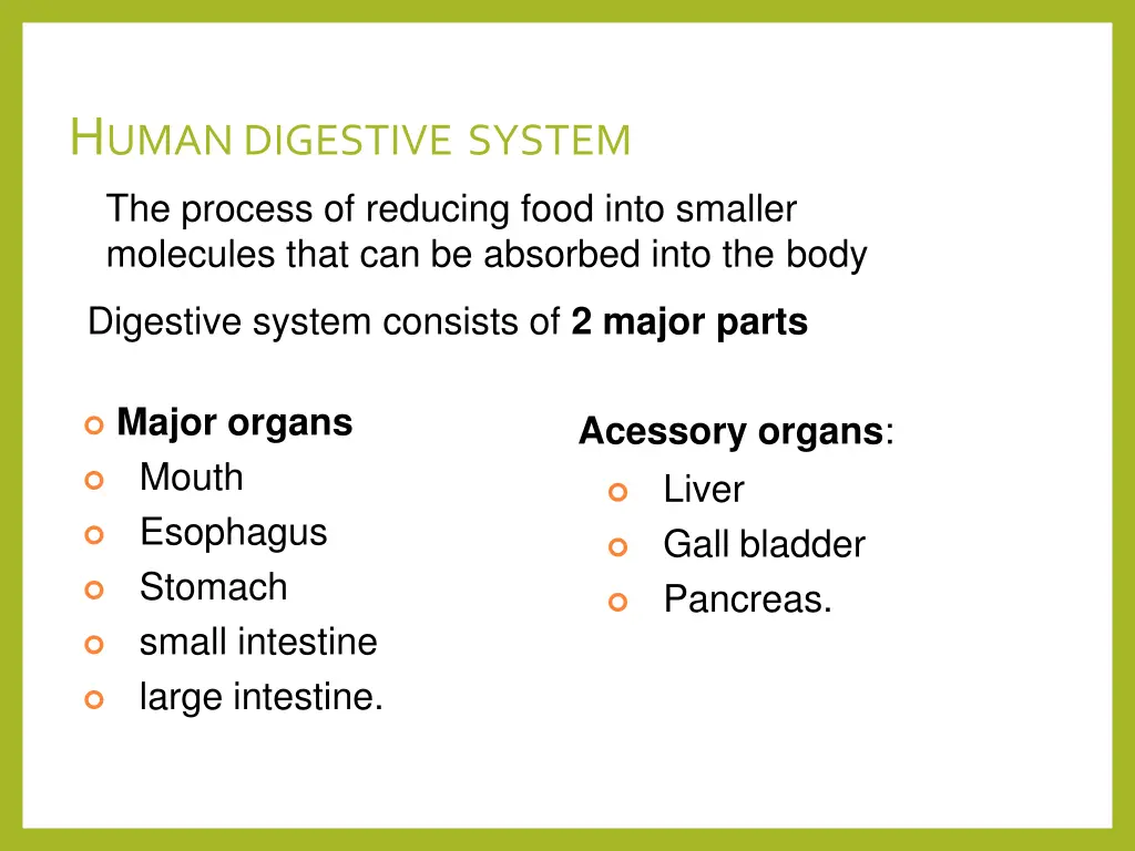 h uman digestive system the process of reducing