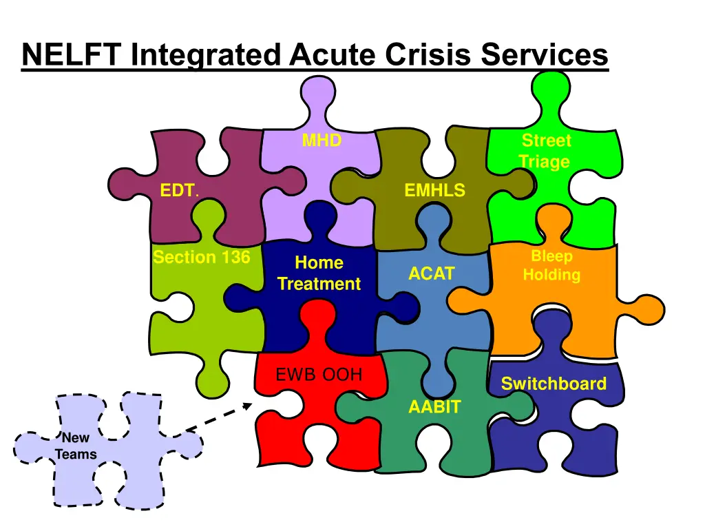 nelft integrated acute crisis services