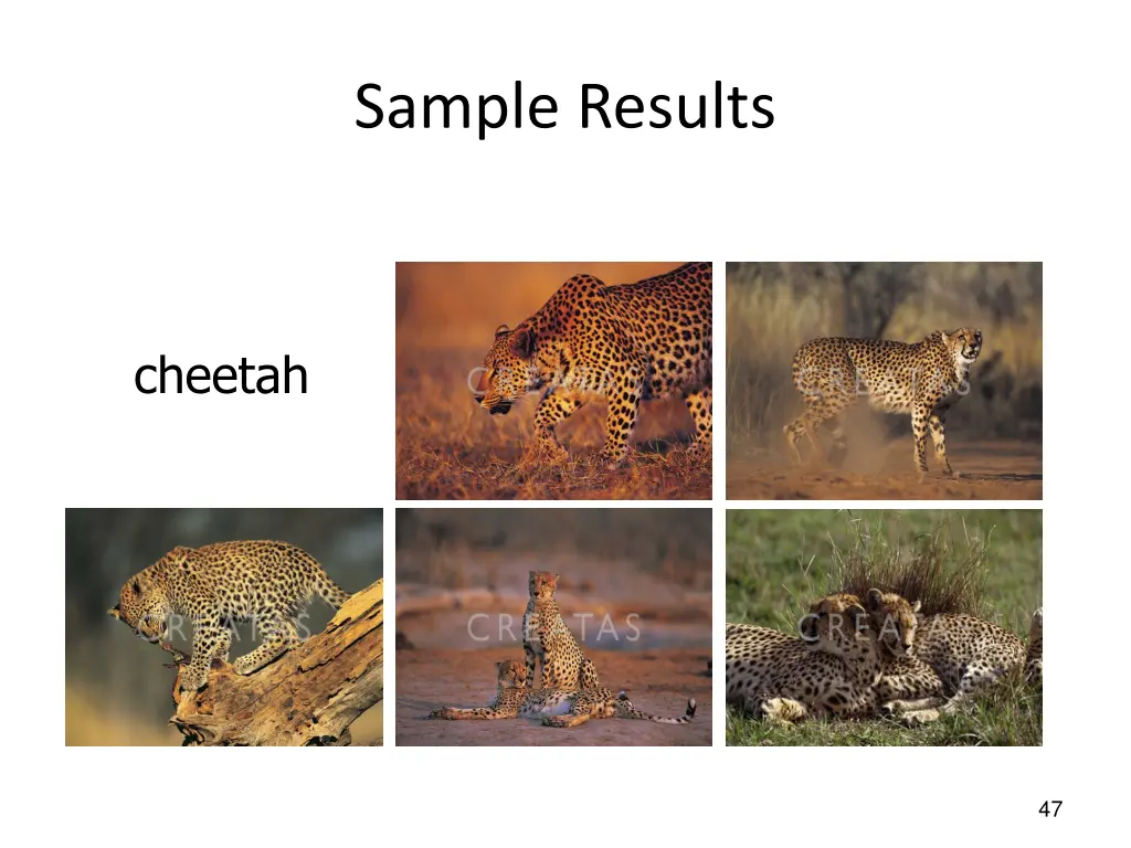 sample results