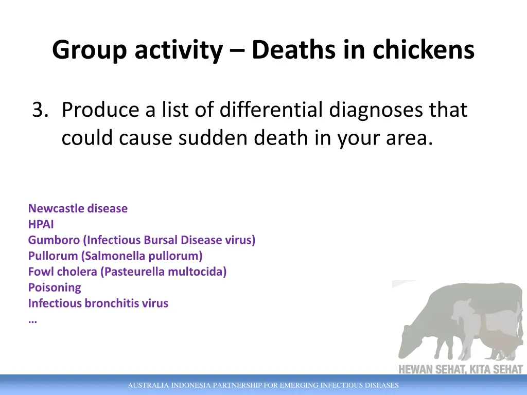 group activity deaths in chickens 1