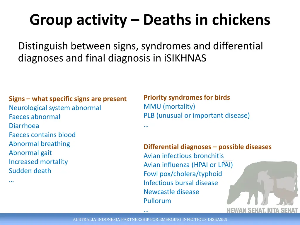 group activity deaths in chickens 3