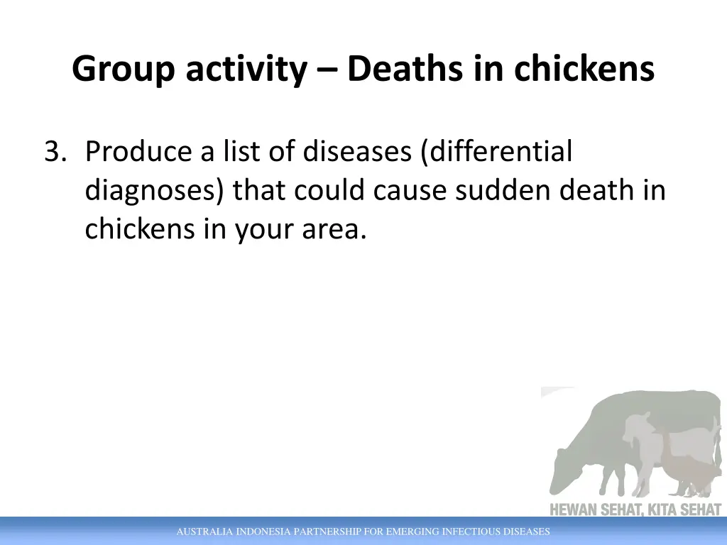 group activity deaths in chickens