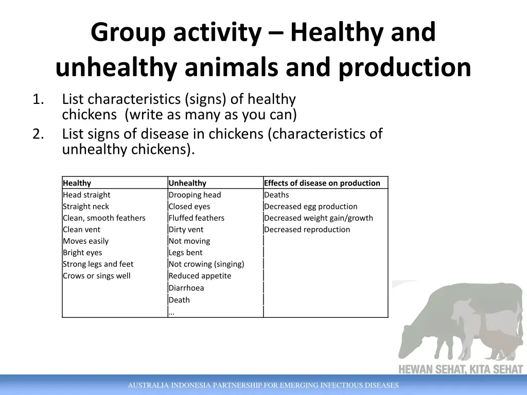 group activity healthy and unhealthy animals 1