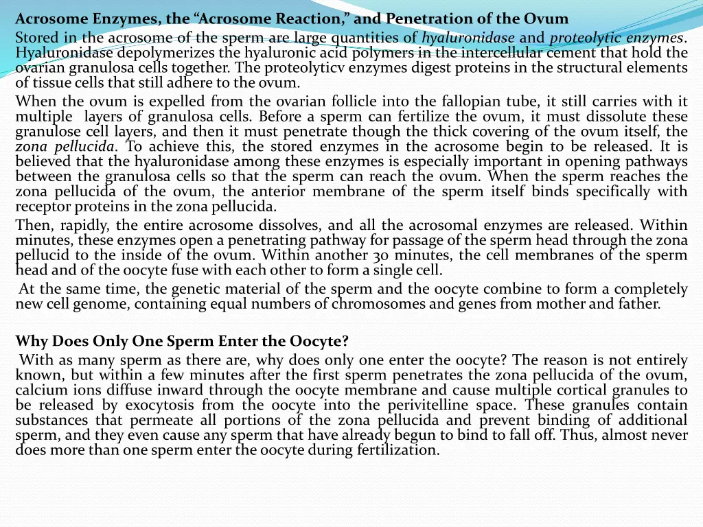 acrosome enzymes the acrosome reaction