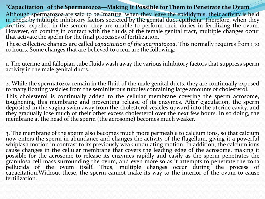 capacitation of the spermatozoa making