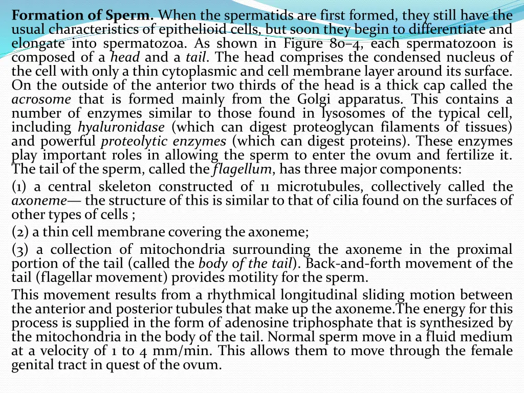 formation of sperm when the spermatids are first