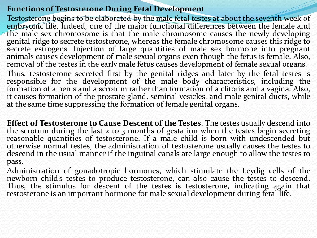 functionsof testosterone during fetal development