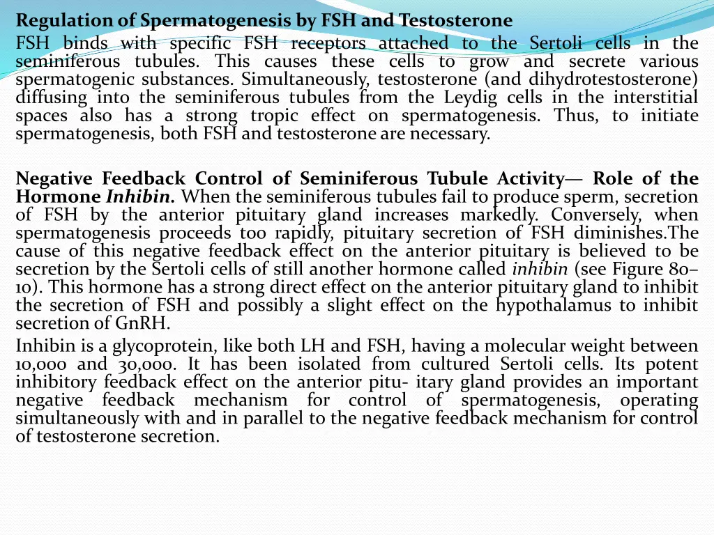 regulationof spermatogenesis