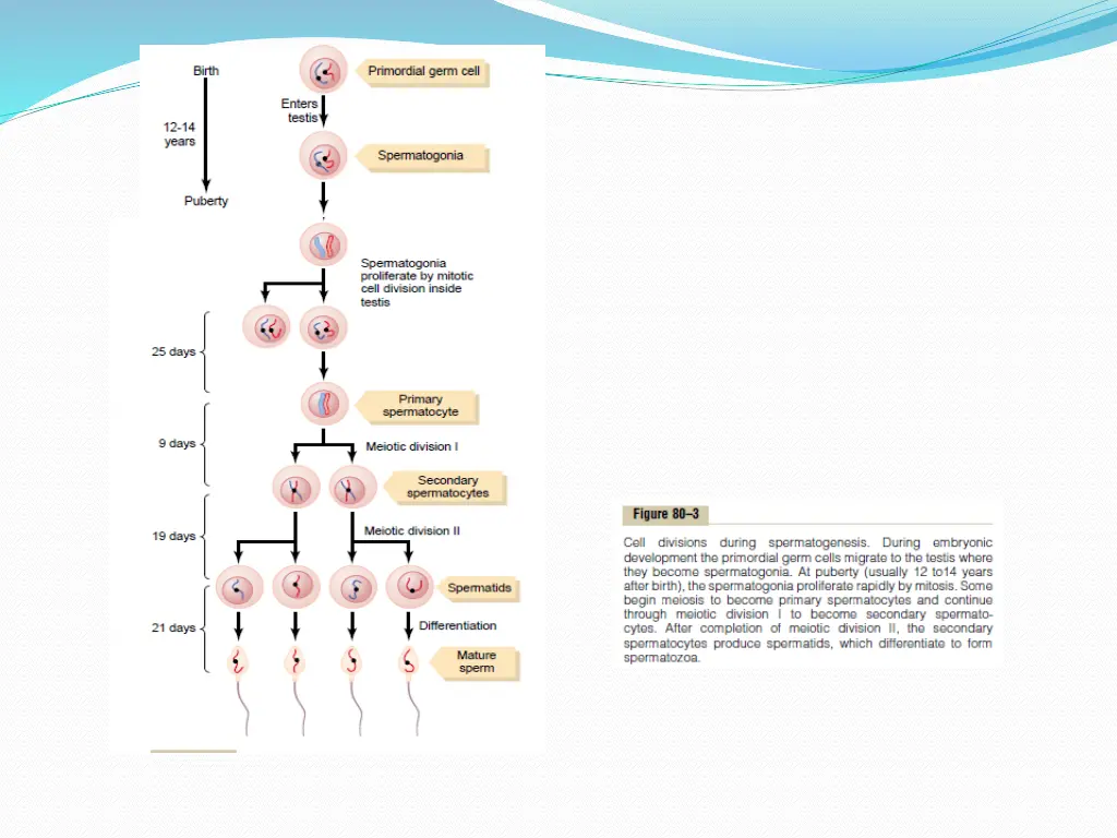 slide9