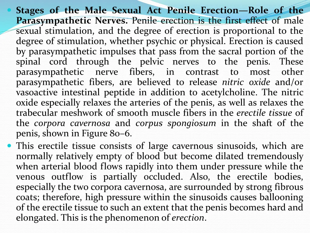 stages of the male sexual act penile erection