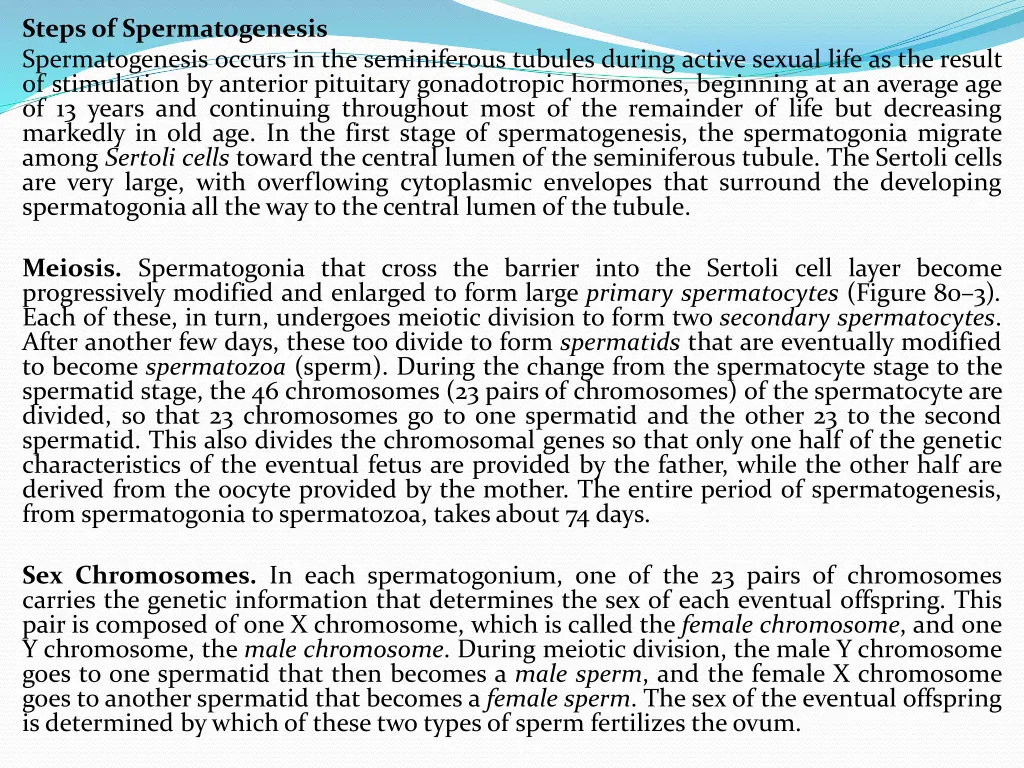 stepsof spermatogenesis spermatogenesis occurs