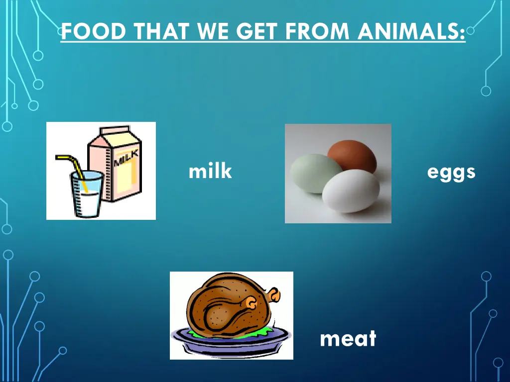 food that we get from animals