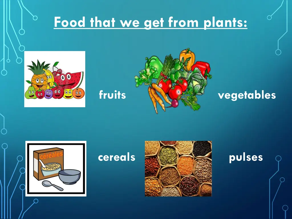 food that we get from plants