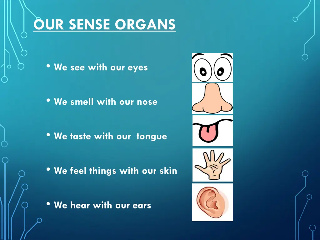 our sense organs