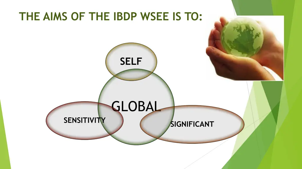 the aims of the ibdp wsee is to