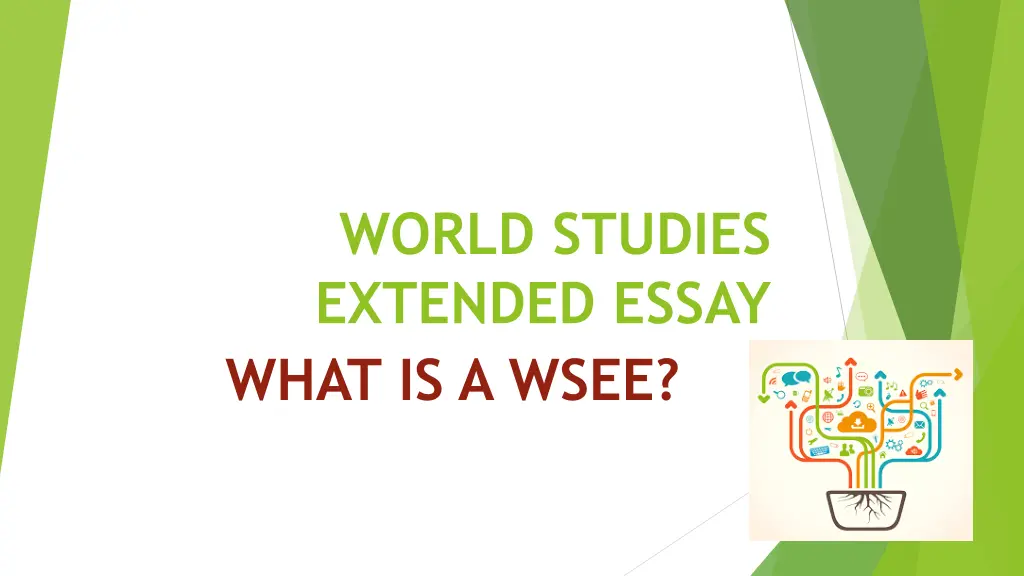 world studies extended essay what is a wsee