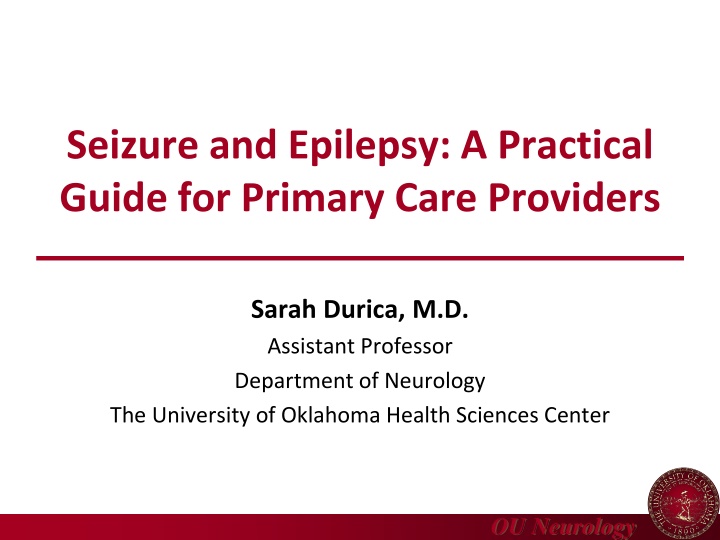 seizure and epilepsy a practical guide