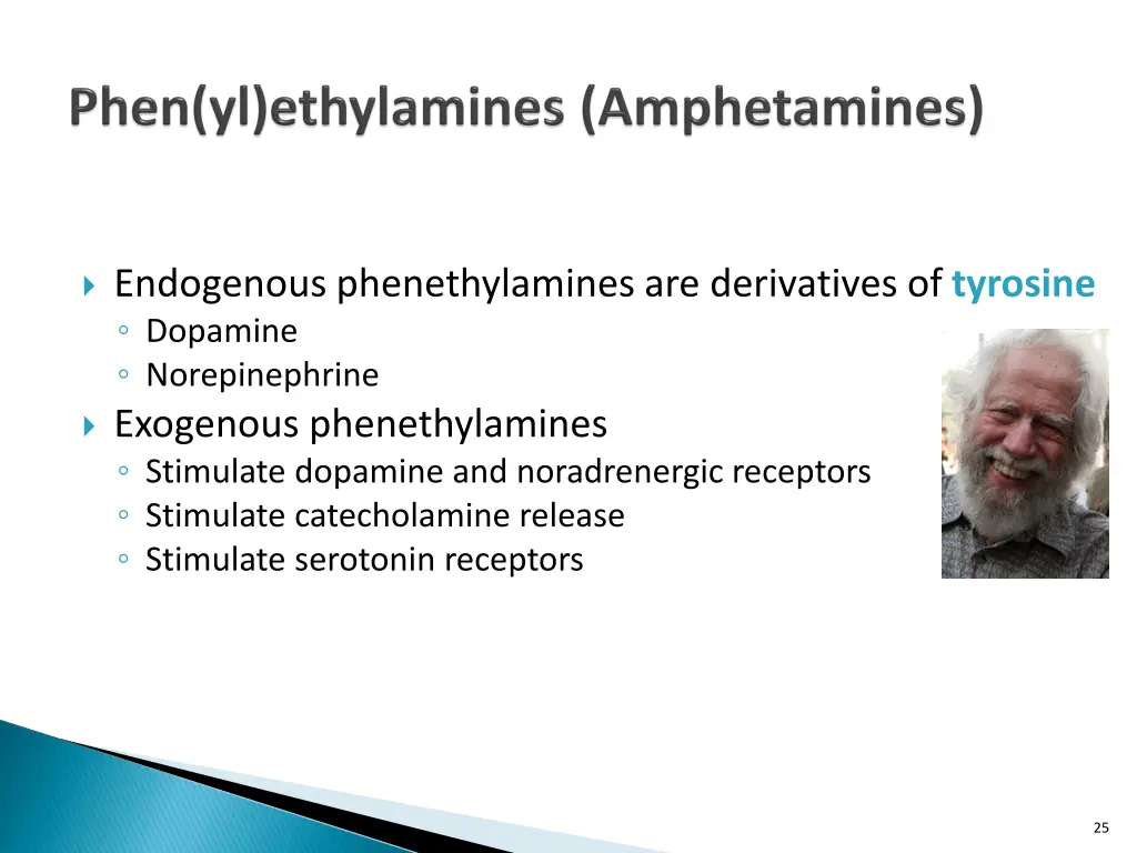 endogenous phenethylamines are derivatives