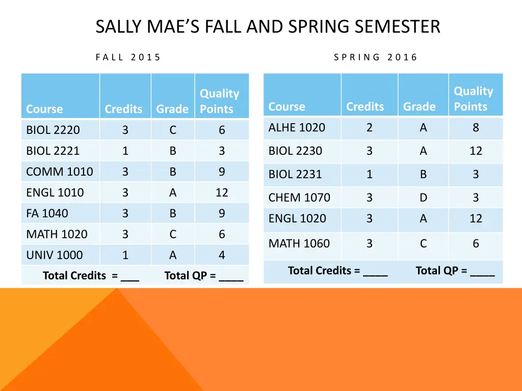 sally mae s fall and spring semester