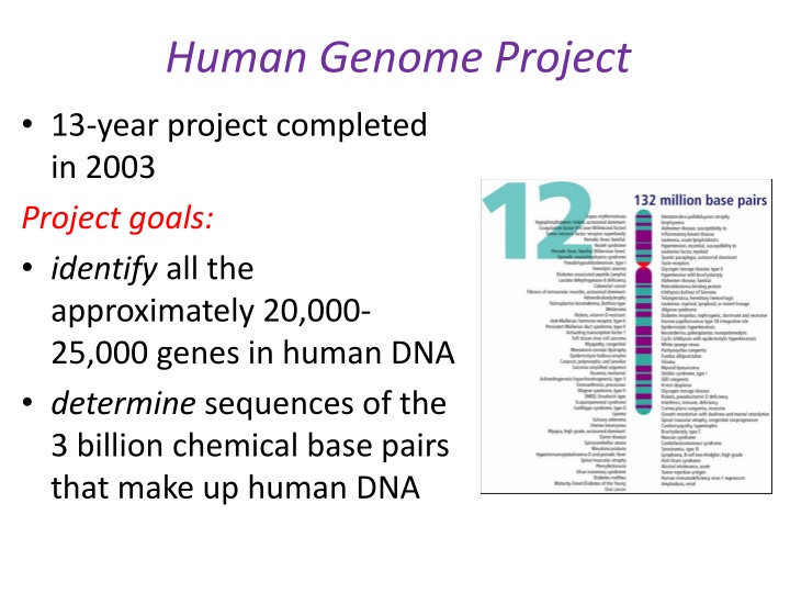 human genome project