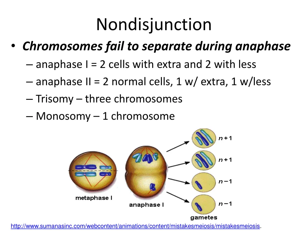 nondisjunction