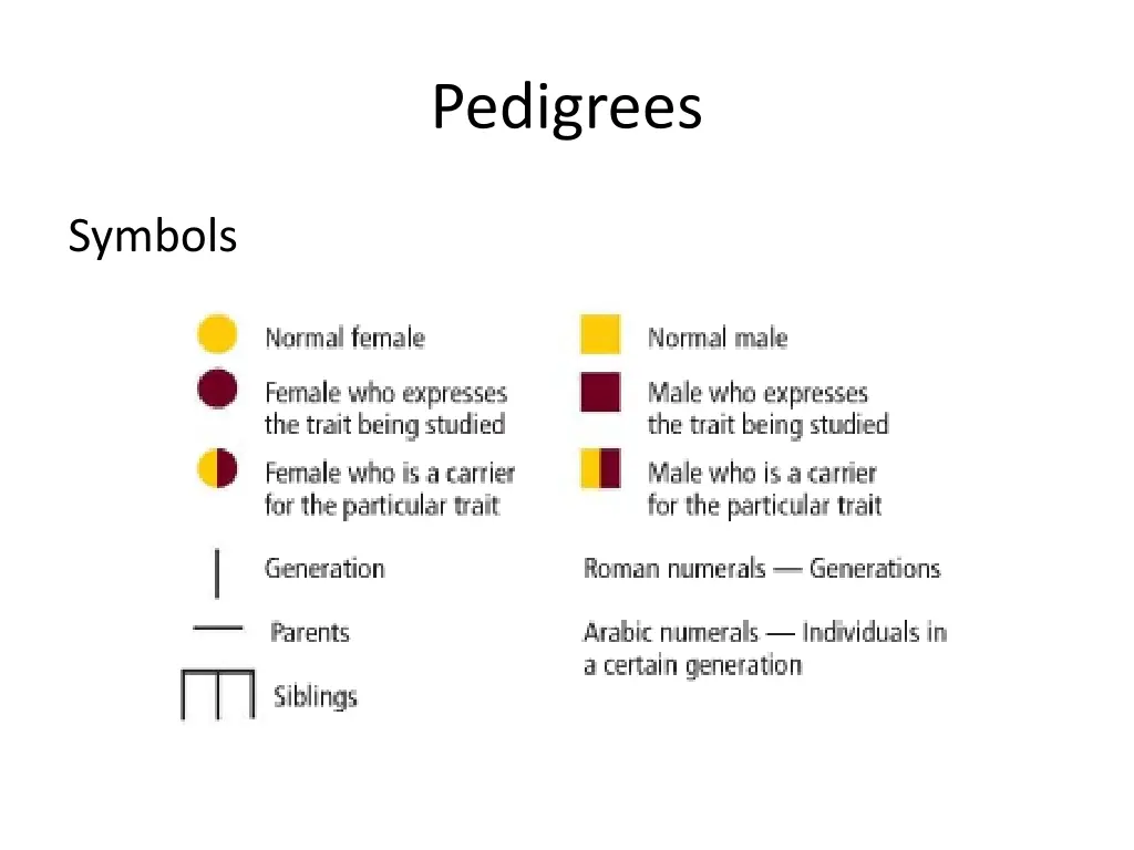 pedigrees 1