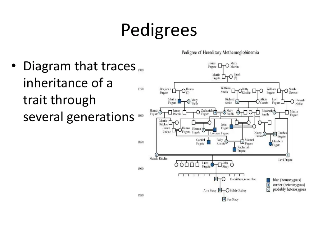 pedigrees