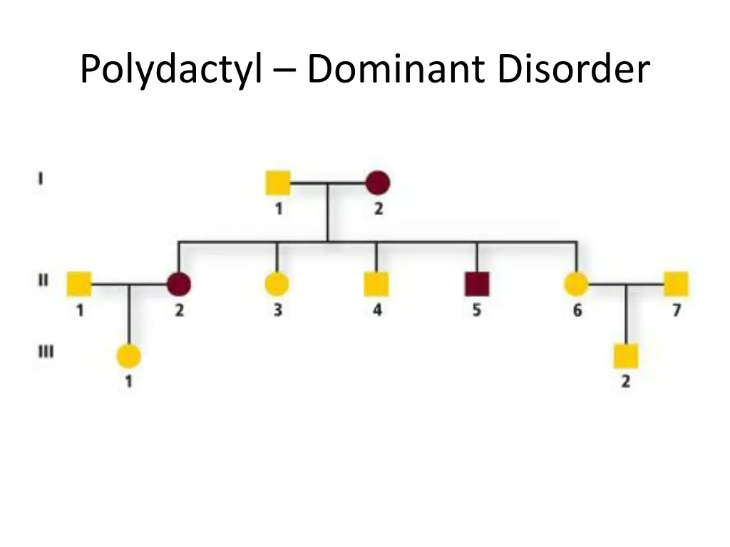 polydactyl dominant disorder