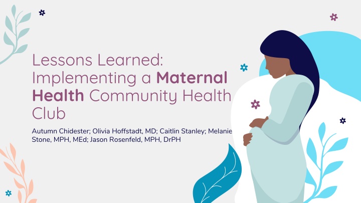 lessons learned implementing a maternal health