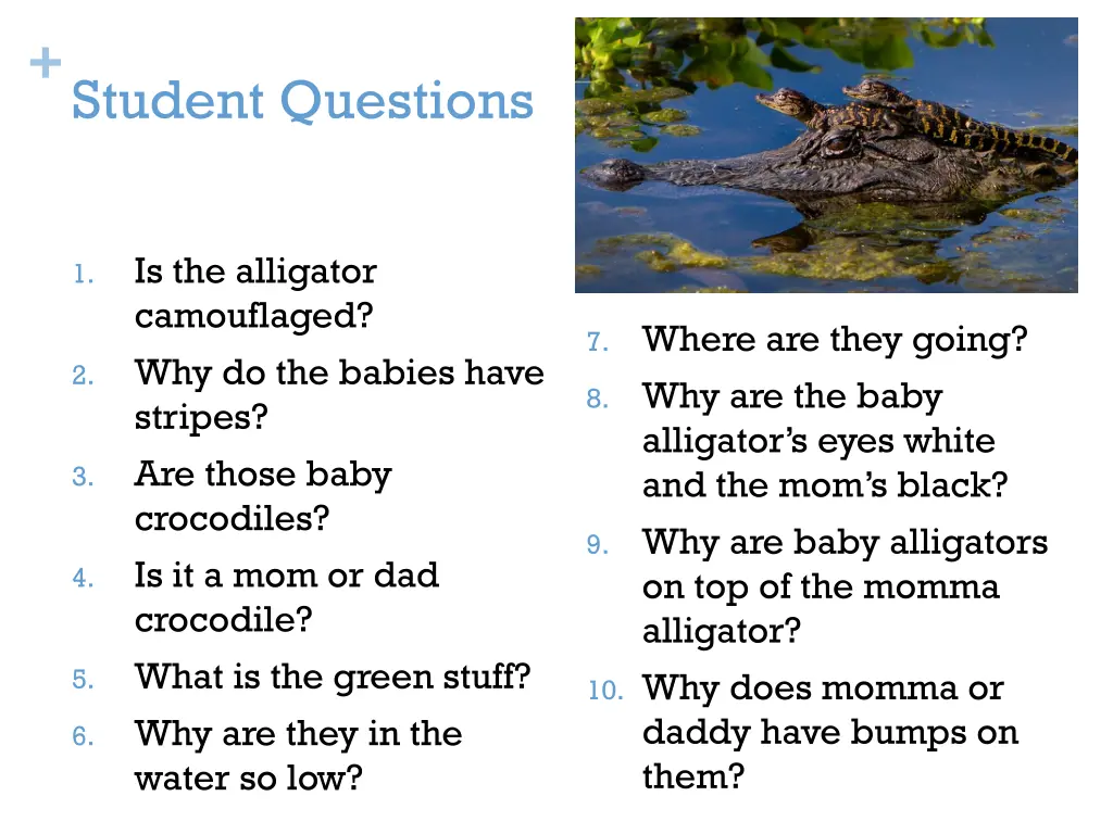 student questions