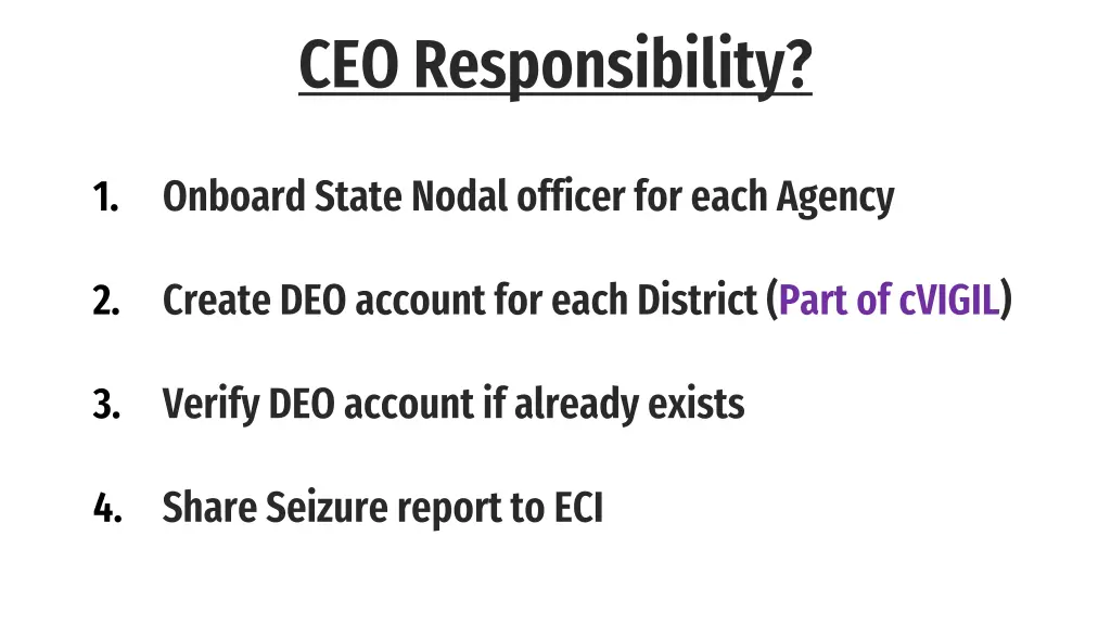 ceo responsibility