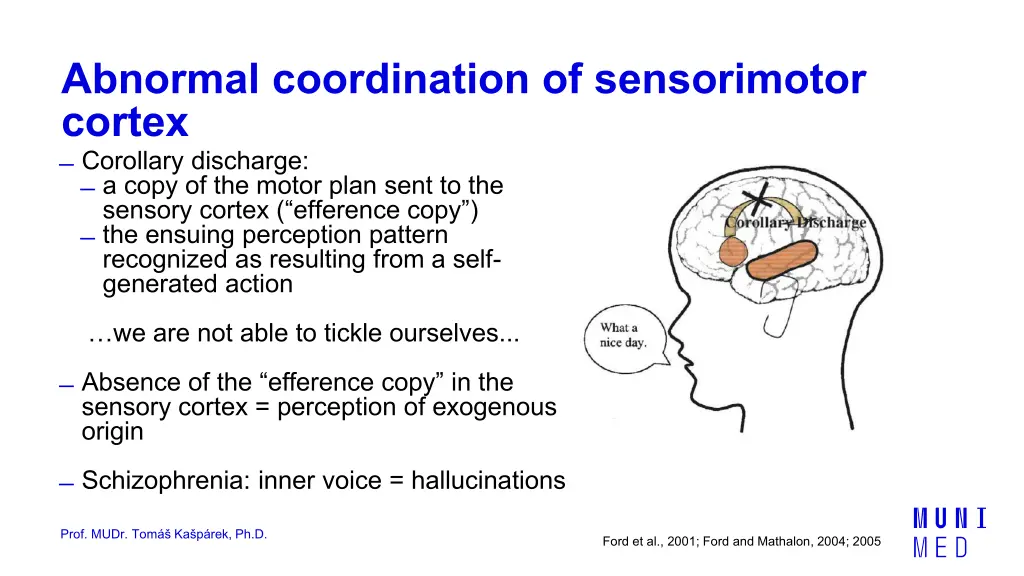 abnormal coordination of sensorimotor cortex